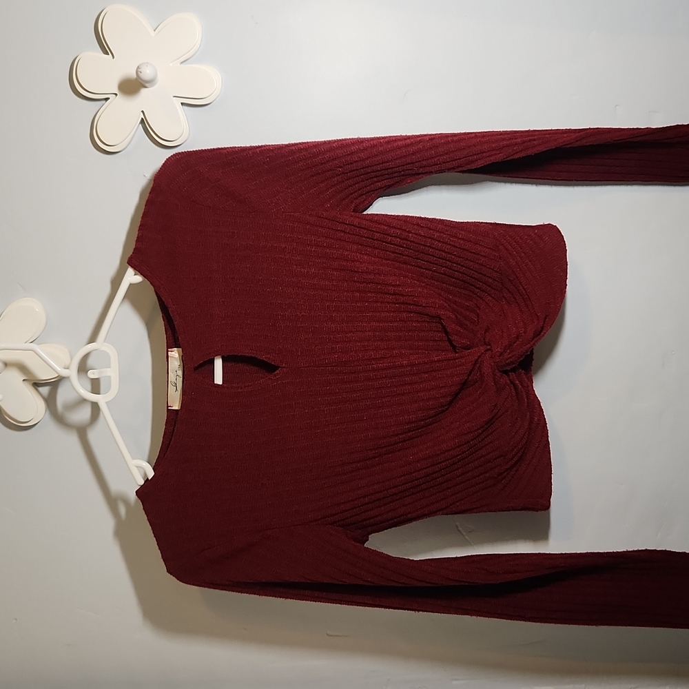 Burgundy long-sleeved crop S/M